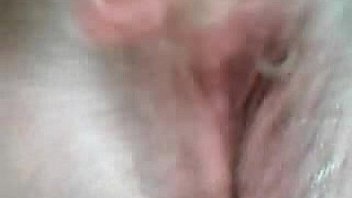 Pussy4